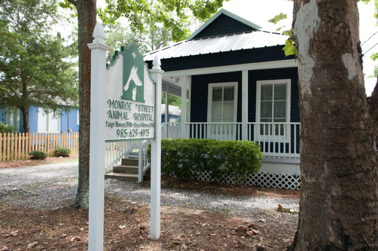 Monroe Street Animal Hospital Veterinarian in Mandeville Top Notch