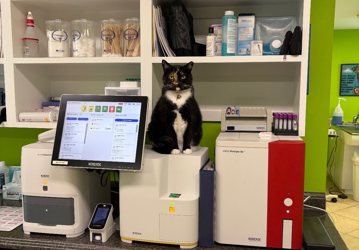 Book Your Pet’s Diagnostic Appointment Today