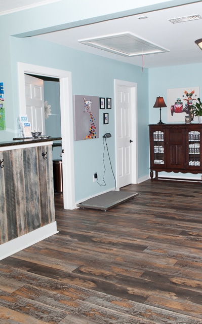 Services Tailored to Your Pet's Needs