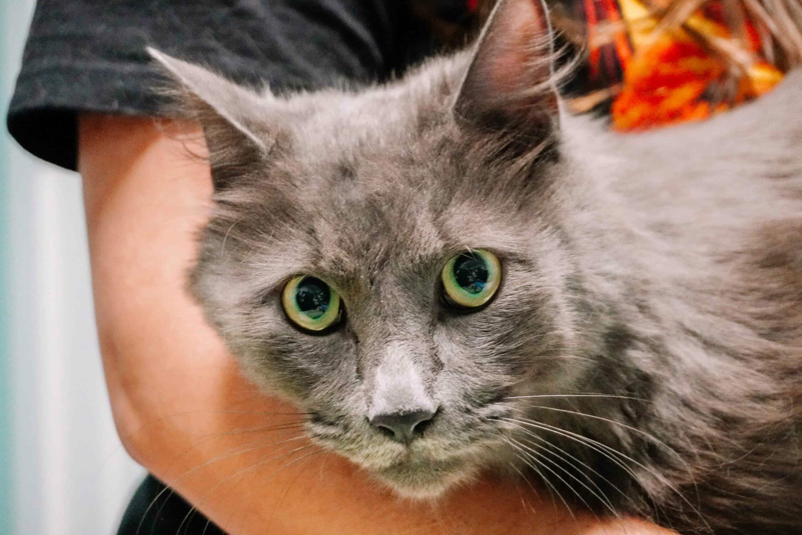 Wellness for Every Life Stage