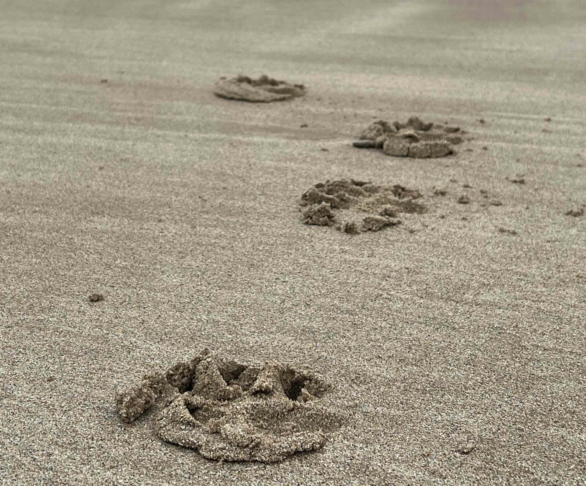 You Don’t Have to Go Through This Alone